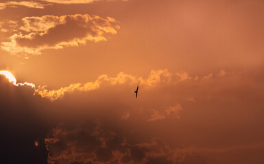 Orange sunset with beautiful golden light
Sunset vision
Orange sky
Clouds moving away rolling colorful sunset light dramatic clouds