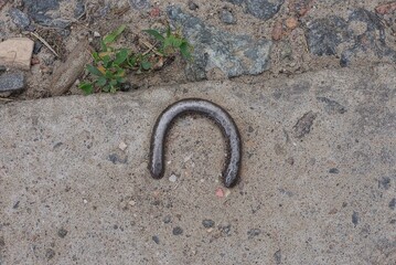 one brown iron rusty bracket on a gray concrete slab in the street