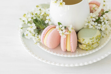 Traditional delicious French dessert - sweet homemade macarons on a vintage plate. Colourful tasty macaroons served on a white china with herbal tea. Decorated with fragile cherry tree flowers.