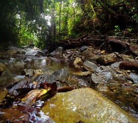 Cascada natural de una reserva de colombia antioquia