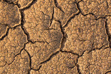 Closeup cracked earth with dry soil