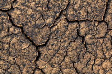 Closeup cracked earth with dry soil