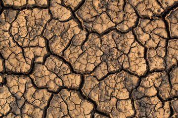 Closeup cracked earth with dry soil