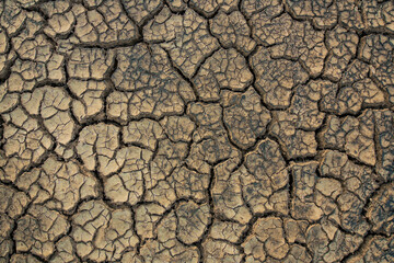 Closeup cracked earth with dry soil