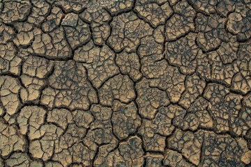 Closeup cracked earth with dry soil