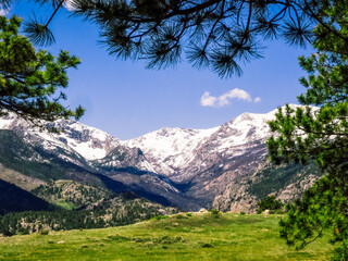 Snow-capped mountains framed by the branches of an evergreen tree. Moraine Park, Rocky Mountain National Park, Colorado