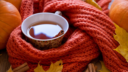 Autumn still life with fragrant cinnamon tea, scarf, pumpkins and yellow maple leaves. Fall...