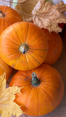 Small pumpkin and yellow maple leaves on dark background. Autumn concept. Selective focus. Shallow depth of field. Top View.