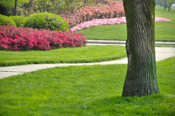 spring in the park