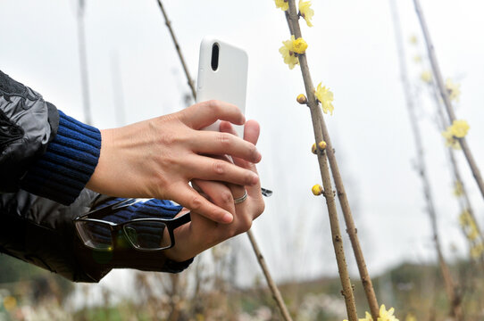 a chinese woman is taking pictures with her phone in the wild