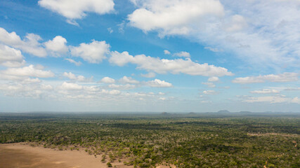 Top view of Jungle and rainforest in the National Park. Sri Lanka.