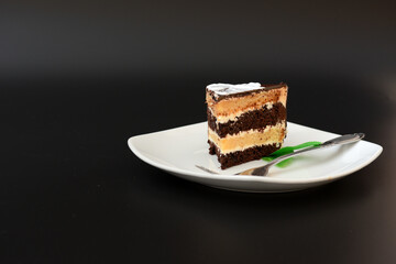 A piece of biscuit chocolate cake with mint leaves on a white ceramic plate on a black background.