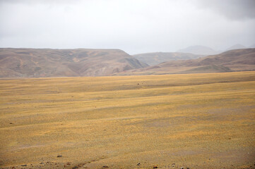 Dry autumn steppe at the foot of the flat peaks of the mountain range.