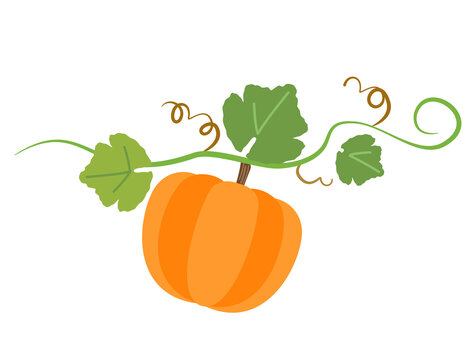 Tsuru Images Browse 8 238 Stock Photos Vectors And Video Adobe Stock