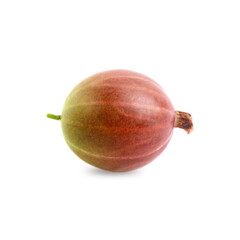 One fresh ripe gooseberry isolated on white