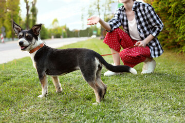 Teenage girl with her cute dog on city street