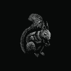 Japanese Squirrel hand drawing vector illustration isolated on black background