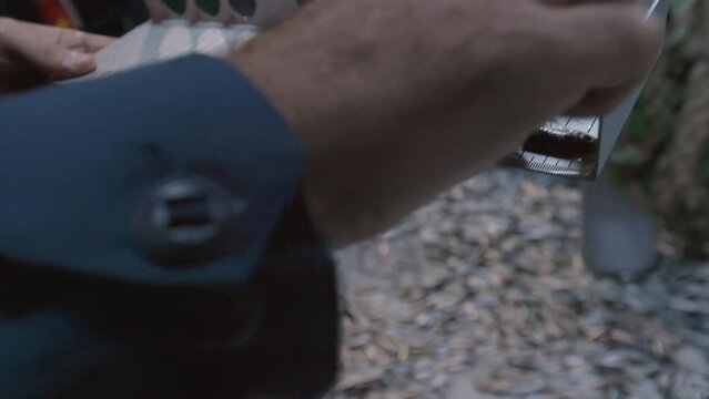 An anchovny fish is being measured in a trawlers yard by national regulations, Black Sea, Turkey.
