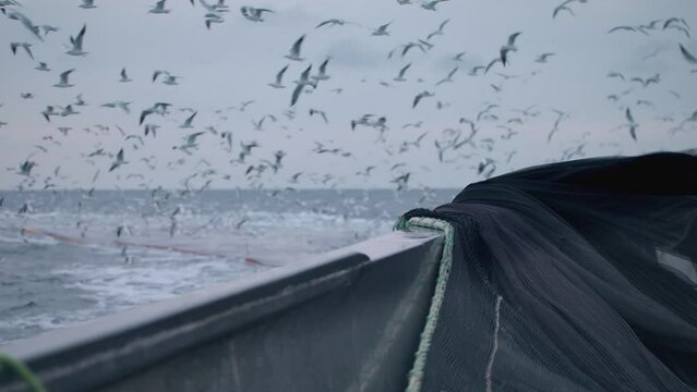 A fishing trawler is leaving its giant net into the sea and seagulls are flying around in slow motion. A rack focus through background.
