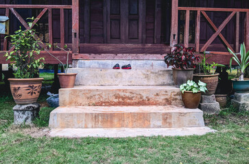 Stairs at the classic house with some plants in the flowers pots at the right and left