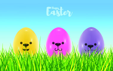 Rabbit and Easter eggs for easter day. 