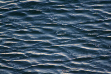 Obraz premium Making Waves2