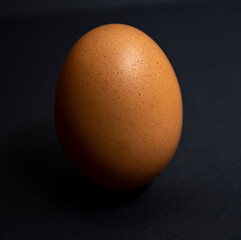 natural creole egg on dark background , chicken egg