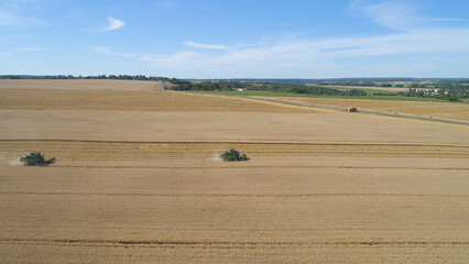 Obraz premium Combine harvester at work harvesting field wheat. Aerial view Combine harvester mows ripe spikelets, barley, rye. Combine harvester harvest ripe wheat on a farm.