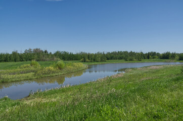 Pylypow Wetlands on a Summer Day