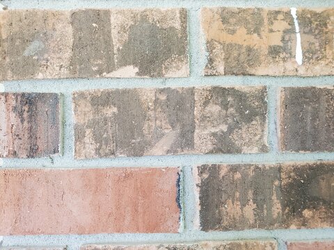 brick wall