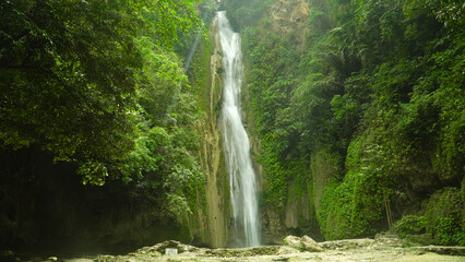 Naklejka premium Waterfall in the rainforest jungle. Tropical Mantayupan Falls in mountain jungle. Philippines, Cebu.