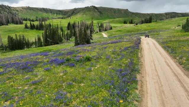 Aerial mountain valley trail sports vehicle. Landscape central Utah. Summer dry season weather. Sport recreation off road vehicle. Dead pine tree forest from beetle insect. Environmental and ecology.