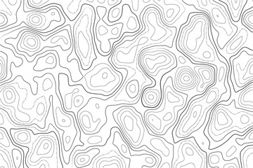 Topography map on white background. Contour line abstract terrain relief texture. Geographic wavy landscape. Vector illustration.
