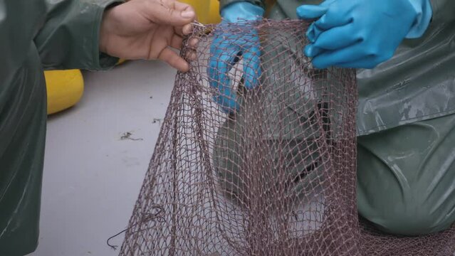 Fisherman is repairing the fishing nets with a big needle. 