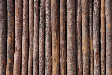 A tight wall made of natural straight tree sticks and branches