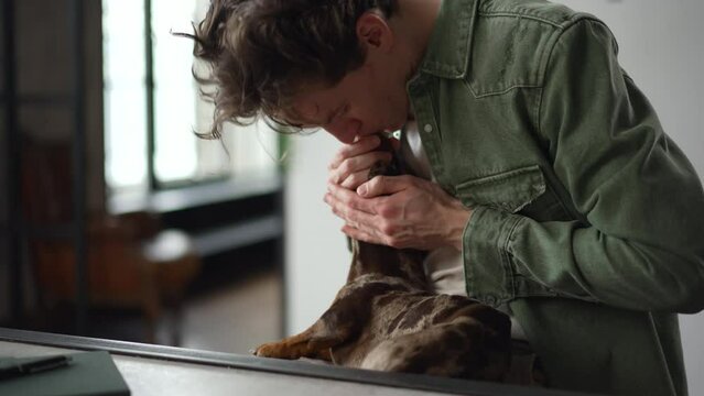 4k Young man is having fun with pet dachshund and sitting at table in home office spbd. Closeup view of american guy plays with cute dog and looks with smile, sits at desk in front of laptop in light