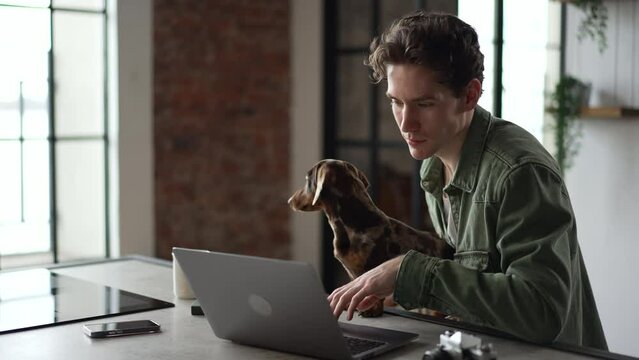 Young man is working with laptop and sitting at table with dog in home room spbd. 4k Close view of caucasian handsome guy looks at display and does online work, sits at desk with cute pet in interior
