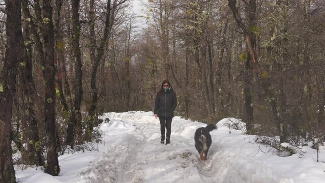 Woman and dog walking along a snowy path in a forest in Patagonia, towards the camera.