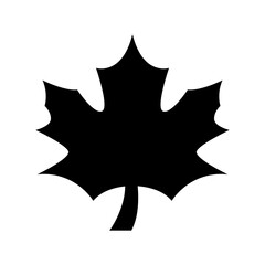 maple leaf icon or logo isolated sign symbol vector illustration - high quality black style vector icons
