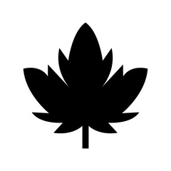maple leaf icon or logo isolated sign symbol vector illustration - high quality black style vector icons
