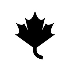 maple leaf icon or logo isolated sign symbol vector illustration - high quality black style vector icons
