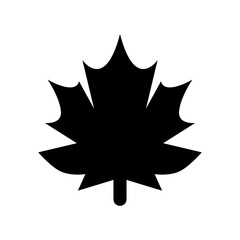 maple leaf icon or logo isolated sign symbol vector illustration - high quality black style vector icons
