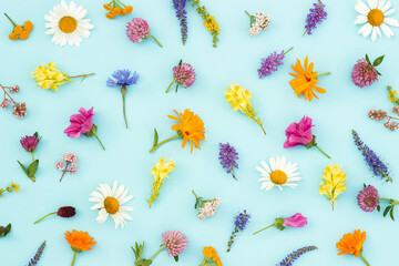 Bright pattern of colorful wild flowers on a blue background, as a backdrop or texture. Spring, summer floral wallpaper for your design. Top view Flat lay
