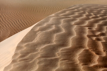 Sand dunes natural texture in the desert in Abu Dhabi