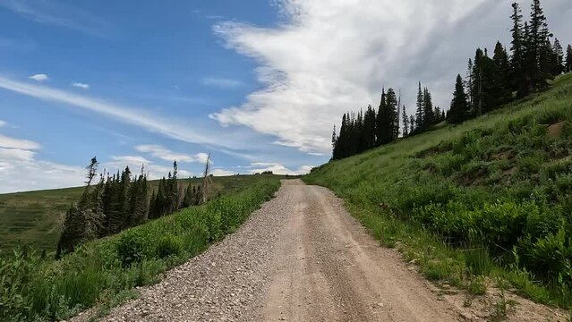 Driving mountain gravel road summer forest POV. Nature in natural environment. Recreation, hiking, and fishing ponds. Campground destination and off road jeep, truck and ATV fun. Pine forest.