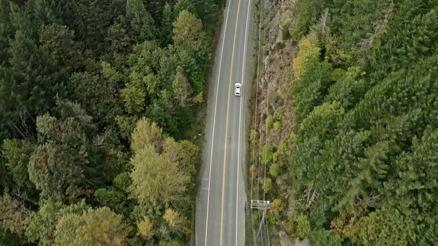 Vancouver Island Road Drone Shot