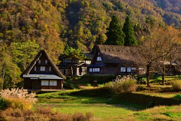世界遺産　白川郷合掌造り集落　秋景色