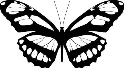 Vector illustration of Butterfly Pattern