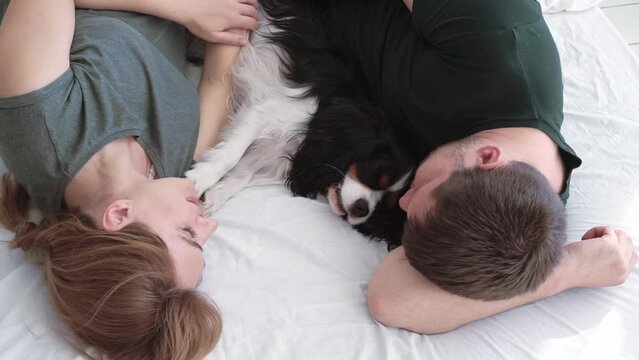 husband and wife are lying in a white bed with a beautiful fluffy dog with big ears under the clothes. dog is man's best friend. Sleeping pets. slow motion