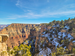 Arizona Nature Photography in the Winter